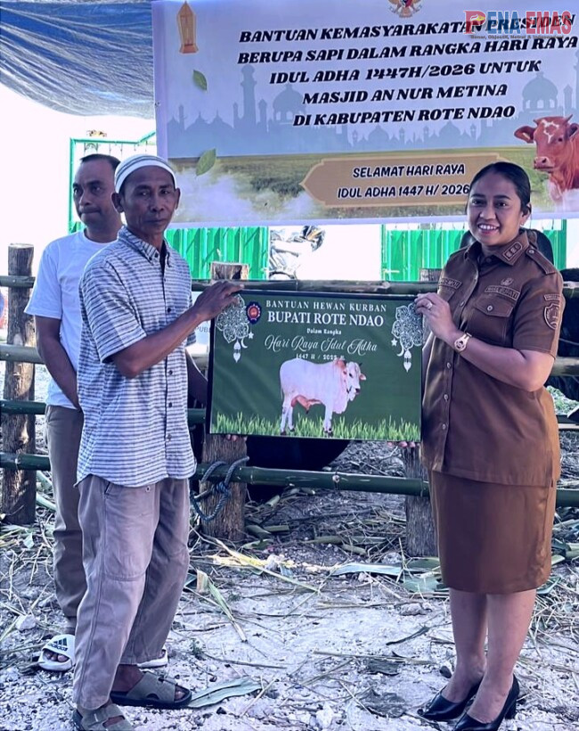Wakil Bupati Rote Ndao dan Forkopimda Serahkan Bantuan Hewan Kurban Iduladha 1447 H/2026 M. 1 IMG 20260526 WA0004