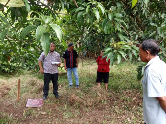 IMG-20200717-WA0000 IMG 20200717 WA0000