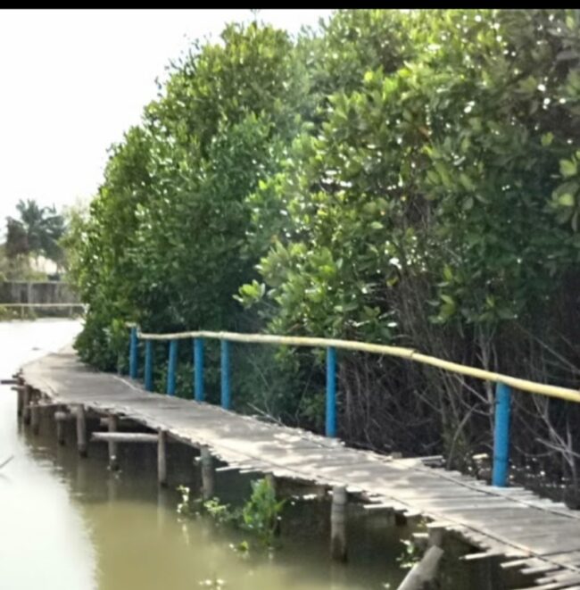 IMG-20200828-WA0036 IMG 20200828 WA0036