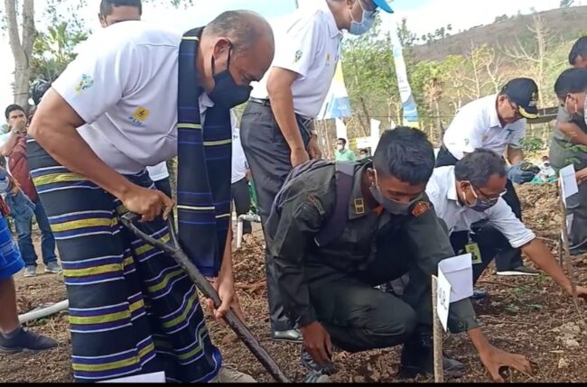 IMG-20201027-WA0033 IMG 20201027 WA0033