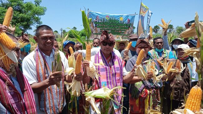 IMG-20201031-WA0001 IMG 20201031 WA0001